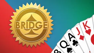 Play Bridge now!
