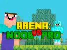 Arena: Noob vs Pro
