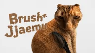 Play Brush Jjaemu now!