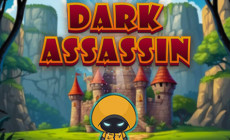 Dark Assassin