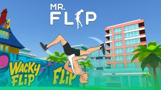 Mr Flip