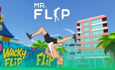 Mr Flip