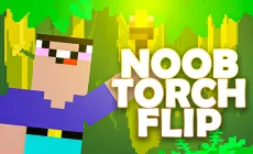 Noob Torch Flip 2D