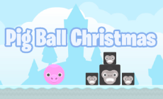 Pig Ball Christmas