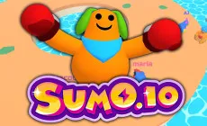 Sumo.io