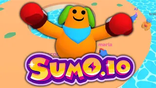 Play Sumo.io now!